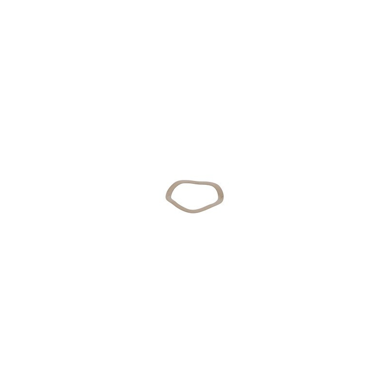 Rondelle élastique inox- GEMINOX - 87168006920