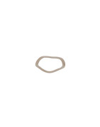 Rondelle élastique inox- GEMINOX - 87168006920 Rondelle élastique inox- GEMINOX - 87168006920