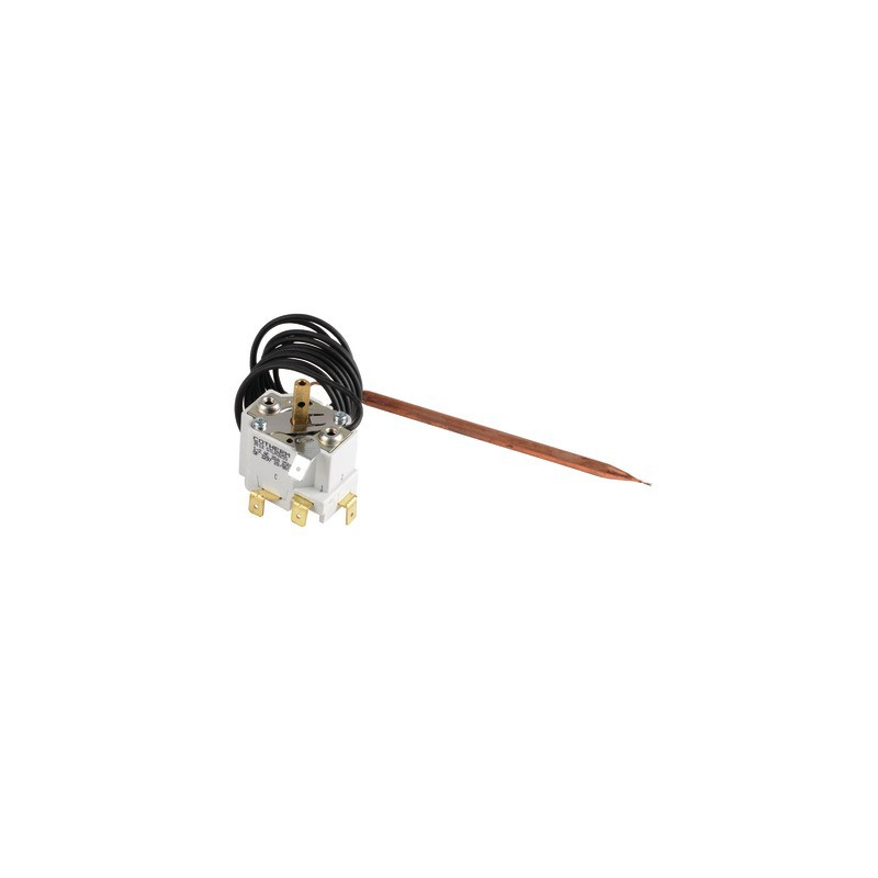 Thermostat 20/80 cap.1,5m inverseur- GEMINOX - 87168109720