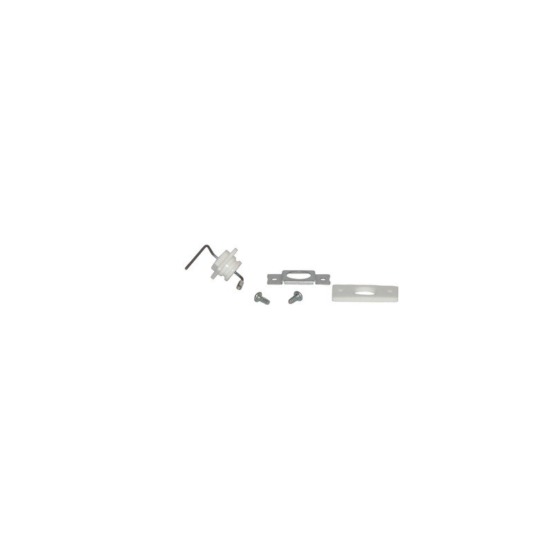 electrode ionisation- ELM LEBLANC - 87387032270