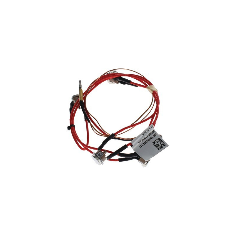 Thermocouple avec limiteurs de température- ELM LEBLANC - 8738726407