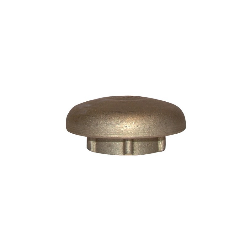 Évent en laiton F1"- DIFF - 903477