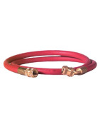 Flexible rouge L1500mm FF1/4" SAE- DIFF - 906025 Flexible rouge L1500mm FF1/4" SAE- DIFF - 906025