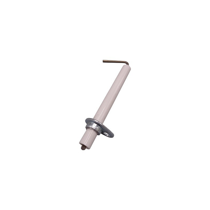 Électrode ionisation luna- CHAPPEE - JJJ008423300
