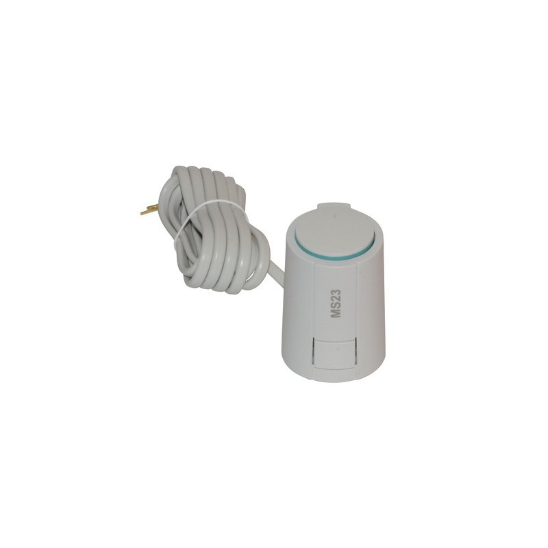 Moteur thermique- SIEMENS - MS23P2