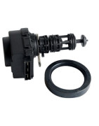 Moteur + insert vanne 3 voies- DE DIETRICH CHAPPEE - S100823