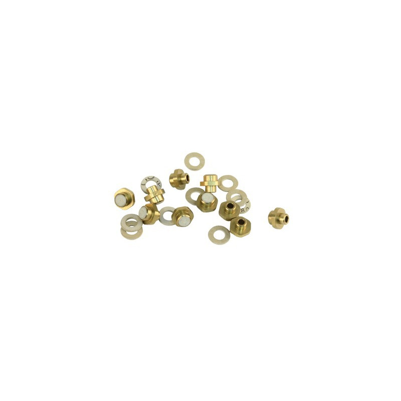Injecteur veilleuse G20- SAUNIER DUVAL - S1253600  - (X10)