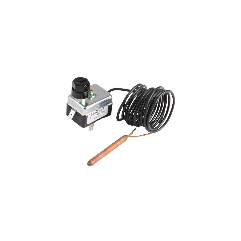 Thermostat TG400 capillaire 2m- CHAPPEE - S17006955