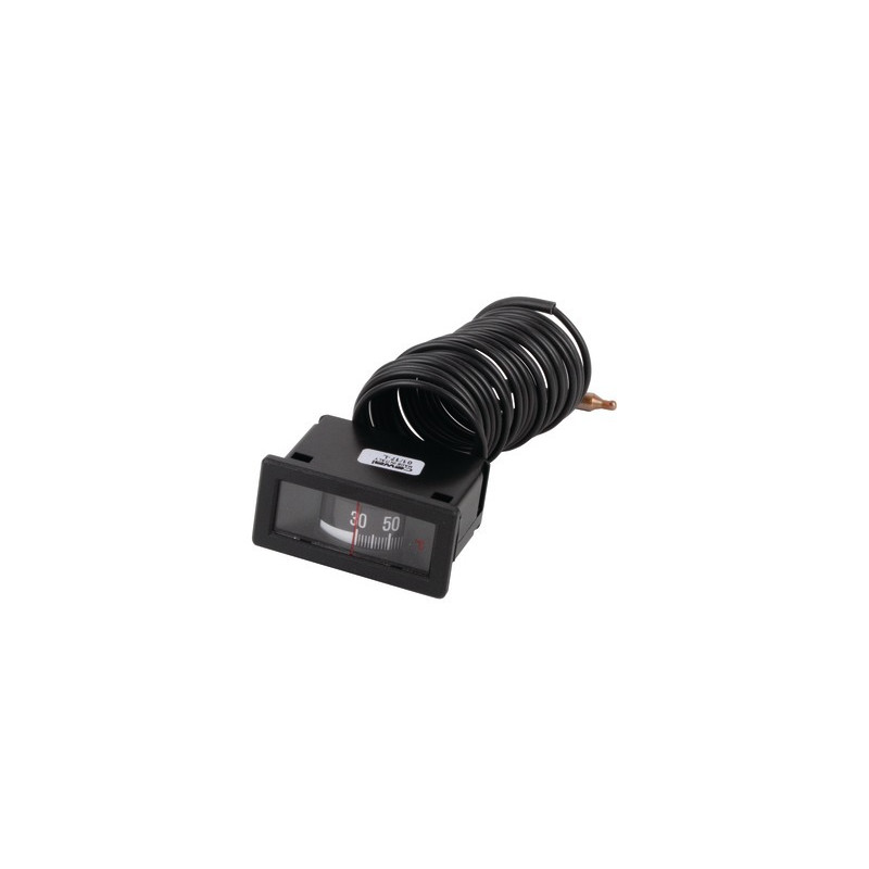 Thermomètre rectangulaire 0°C à 120°C L2- CHAPPEE - S17007062