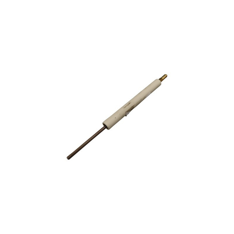 Electrode- CHAPPEE - S3007988