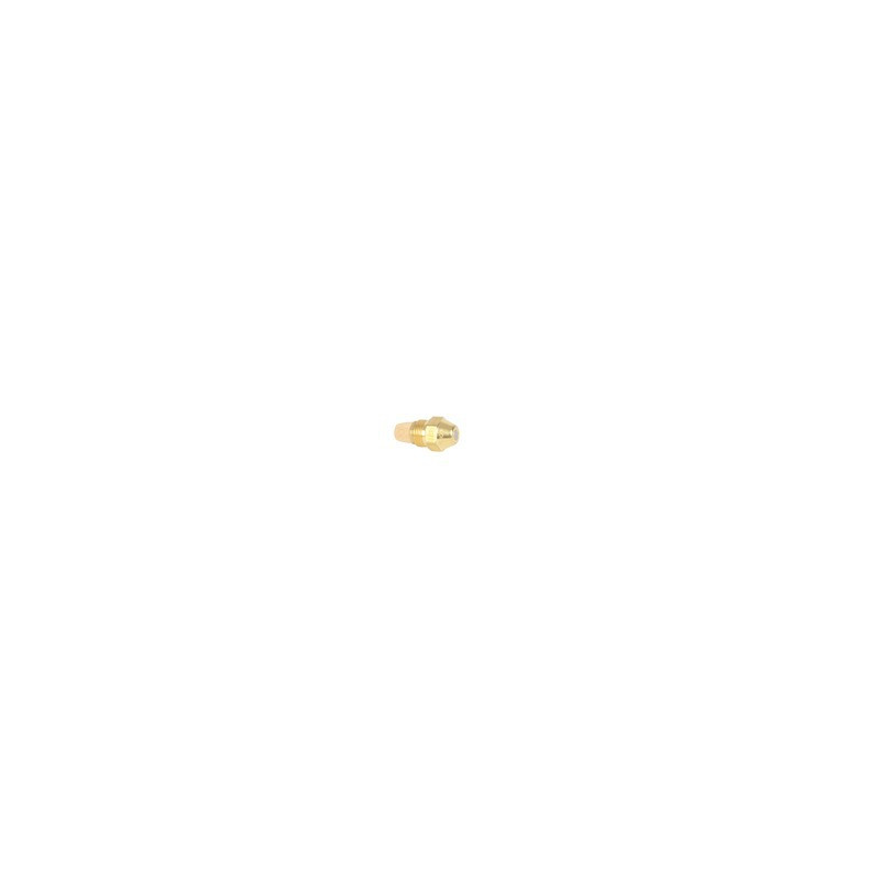 Gicleur Delavan 0,50 GPH 60° CT E (BF)- DE DIETRICH CHAPPEE - S50032799