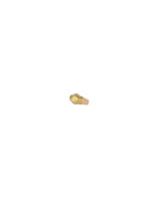 Gicleur Delavan 0,50 GPH 60° CT E (BF)- DE DIETRICH CHAPPEE - S50032799