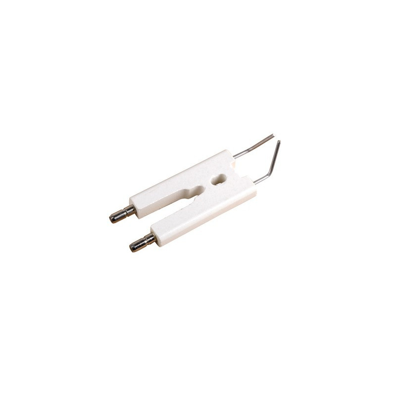 Bloc électrode fioul- CHAPPEE - S58528424
