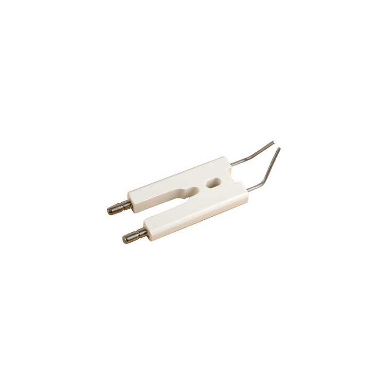 Bloc électrode fioul- CHAPPEE - S58528438