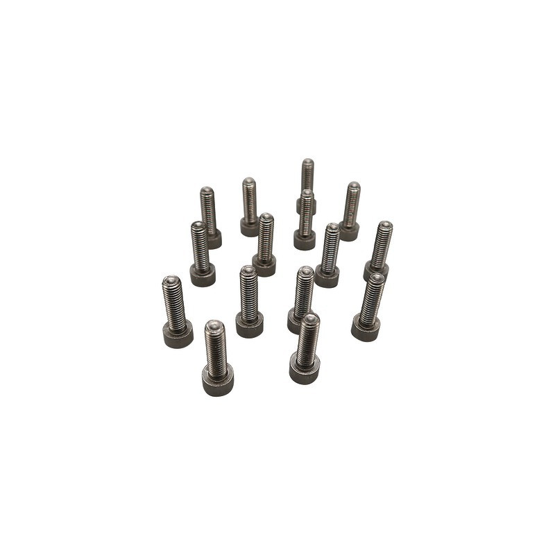 Vis m5x18 (15 pcs.)- DE DIETRICH - S59141  - (X15)