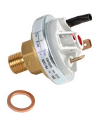 Contrôleur sécurité d'eau- CHAPPEE - SRN562034 Contrôleur sécurité d'eau- CHAPPEE - SRN562034