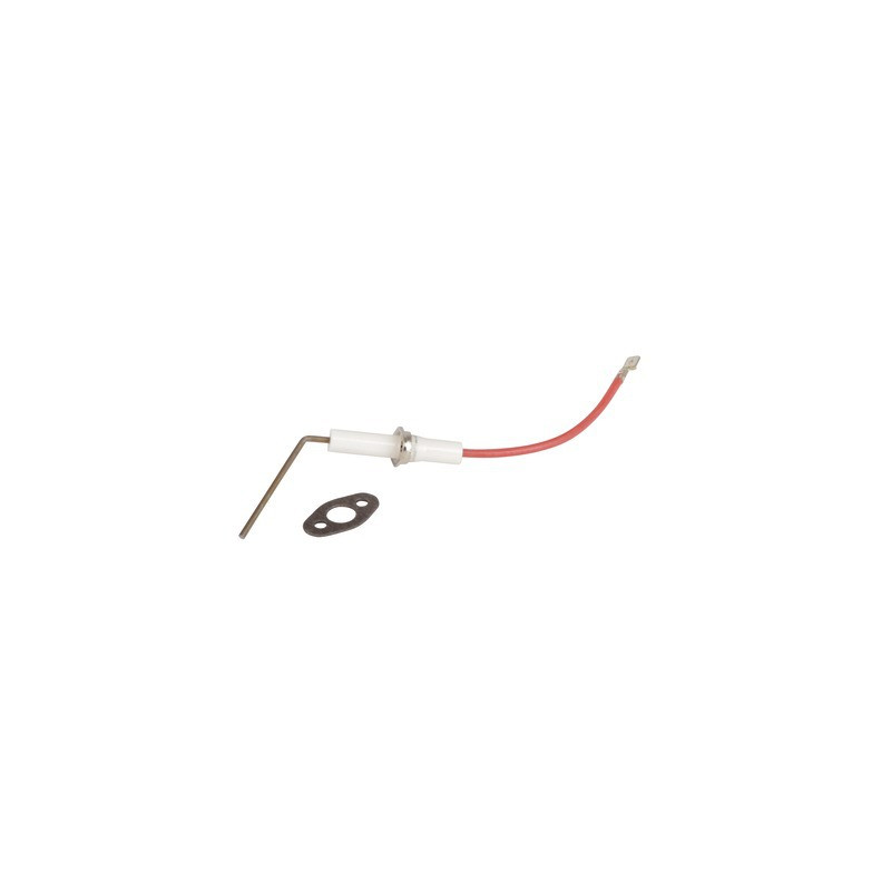 Électrode d'ionisation- CHAPPEE - SRN654272