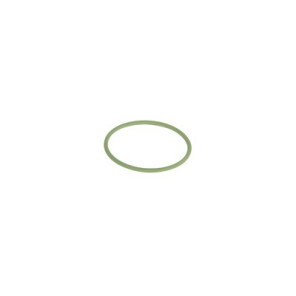 Joint torique pour filtre bio- OVENTROP - 2166500