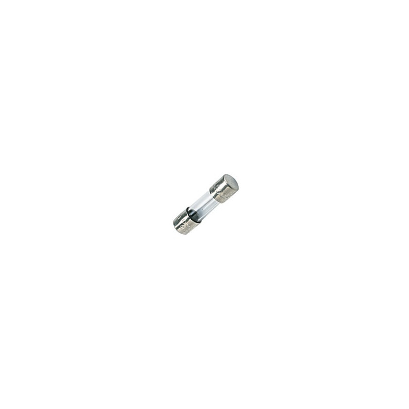 Fusible 1,6 a temporisé- DIFF pour ELM Leblanc - 87167557530  - (X10)