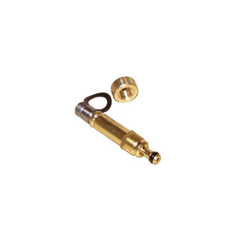 Noyau d'électrovanne BFP NF (071N0050)- DANFOSS - 071N0050
