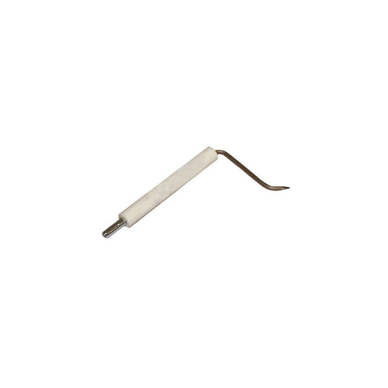 Sonde ionisation BG200- DIFF pour Bentone - 11534703