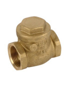Clapet simple battant siège métal F1/2"- DIFF - 110250 Clapet simple battant siège métal F1/2"- DIFF - 110250