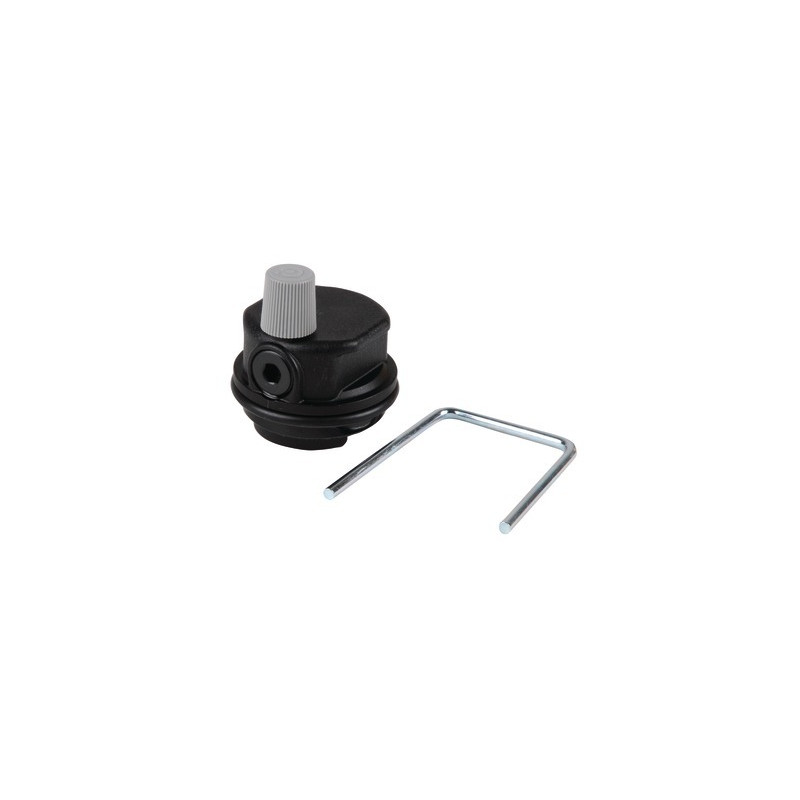 Purgeur circulateur WSC 40W- ELM LEBLANC - 87185050390