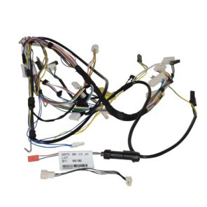 Faisceau principal- SAUNIER DUVAL - S1079600